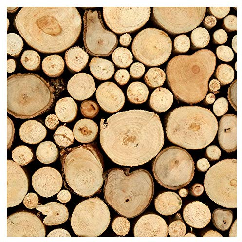 murando PREMIUM Vlies Tapete Deko Panel Fototapete Wanddeko 10 m Tapetenrolle Mustertapete Wandtapete modern design Dekoration - Holz 1602-8
