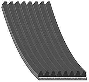 Febi-Bilstein 29061 - Cinghia Poly-V