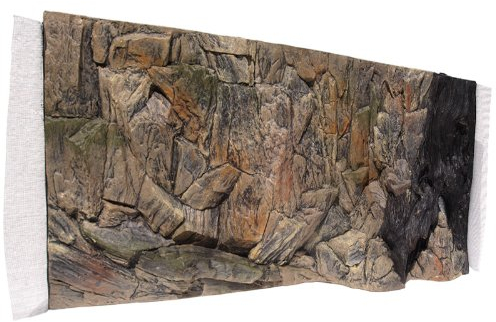 Aquarium Rückwand 3D Standard 80x40cm bei Robizoo