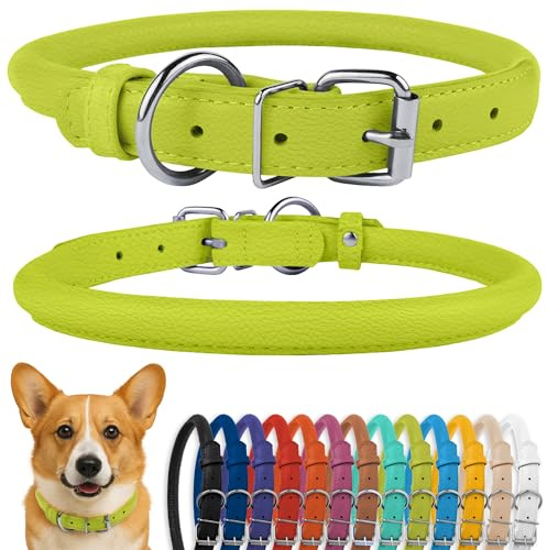 CollarDirect Rundes Leder Hundehalsband, weich gepolstert gerollt, handgefertigtes Echtleder Halsband für Hund Welpe Katze Klein Groß Schwarz Rosa Rot Lila Blau