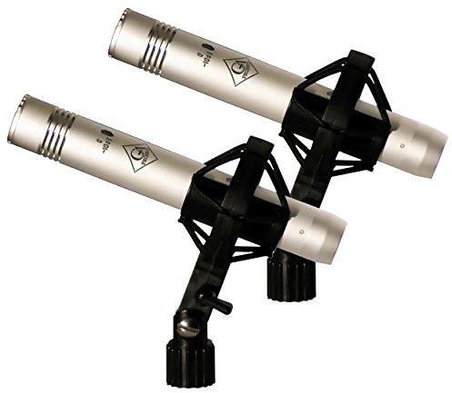 Golden Age Project FC-4ST Small Diaphragm Condenser Microphones (Pair)