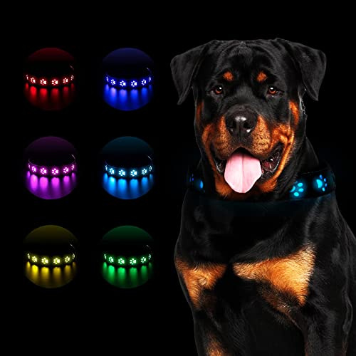 Leuchthalsband Hund,LED Leuchthalsband für Hunde Aufladbar,Hundehalsband Leuchtend Halsband für Hunde Einstellbare Größe Sicherheit,7 Farbwechsel Halsband Hund Helle Sicherheit,S,11.8-15.7,30-40cm
