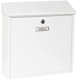 Cassetta Postale Individuale in Acciaio, Di Grandi Dimensioni, Cassetta della Posta da Parete, Dimensione L (Riviste e Buste C4), Facile da Montare, Bianco