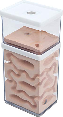 aleawol Natürliche Ameisenfarm Ameisennest Formicarium aus Gips Transparentes Ameisenhaus Ameisen Zucht Box Ameisen Terrarium House Ant Farm Ant Nest Habitat