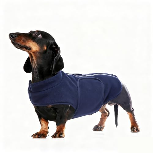 babepet Weiches Hunde-Fleece, Dackel-Jacke, Miniatur-Dackelpullover, reflektierender Hunde-Wintermantel, wetterbeständig, Blau, Größe M