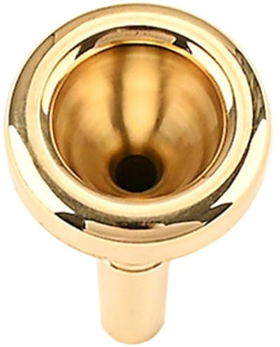 PAMINGONO Bocchino per Tromba Numero 12c in Metallo Color Oro Superficie Liscia e Design Elegante per Musicisti Professionisti e Principianti