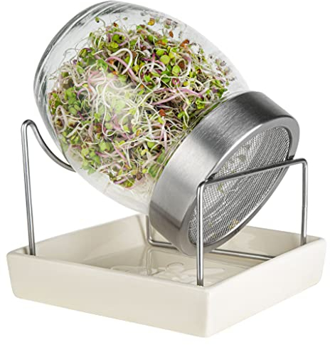 Geo TZZ0865 Geojar Glass Sprouter - Brown