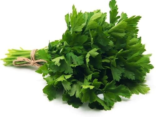 Sobre de Semillas de Perejil Común para Cultivar en el Hogar