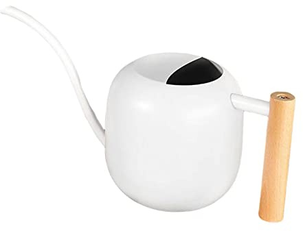 LOVIVER Regadera de Acero Inoxidable Larga, Mango de Madera, regadera de 1, regadera para Exteriores, hogar, Patio, Decorativa,