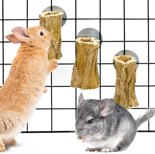 Fhiny Natural Rabbit Chew Toy, Hanging Papaya Wood Bunny Molar Treats