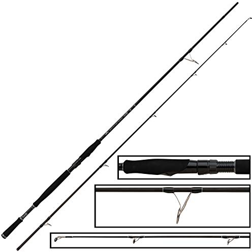 Fox Rage Ti Pro Big Bait Spin 270cm 40-160g Spinnrute