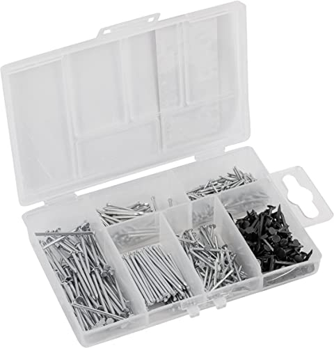 Connex Set di 650 chiodi assortiti, in pratica scatola di plastica, adatti per casa, officina e altro. Set per unghie, scatola assortita, DP8500117