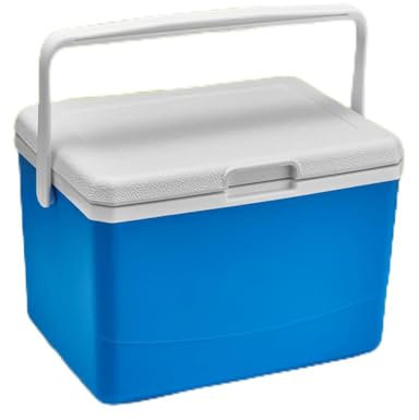 Fiorky Tragbarer Kühler, 5 l, isolierter tragbarer Kühler mit Griff, Grill-Isolierbox, Wärmekonservierung, Lebensmittelaufbewahrung, Kühlbox for Strand, Picknick, Camping, Tailgating