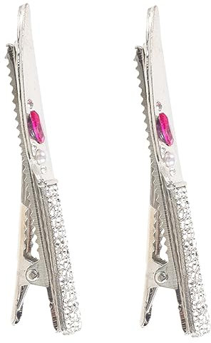 DEARMAMY 2pièces Epingle Cheveux Mignonne Lot Pour Femmes Et Adolescentes Accessoires De Cheveux Pour Fêtes Et Cosplay Petites Pinces Décoratives