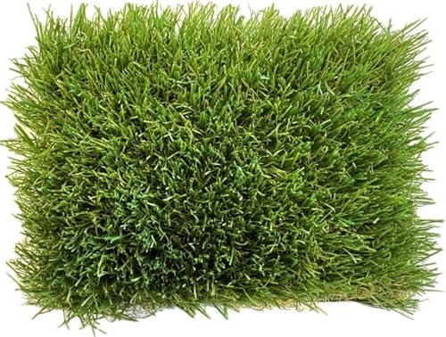 KUNSTRASENWELT - Kunstrasen Flair 940 | Vielseitiger Rollrasen in frischem Grün | Rasenteppich, perfekt für Garten, Terrasse, Balkon & Messen | Kunstrasen mit 40mm Höhe; Größe: 1m x 2m