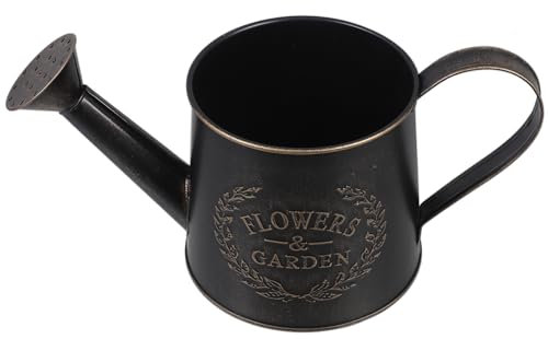 HANABASS Maceta para Plantas Suculentas Regadera Portátil para Interior para Jardín Flores Regaderas para Exterior con Boquilla Color Rosa Decorativa para Regar Hojas