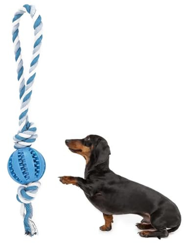 Palla per Cani con Funzione di Cura Dentale nubi per Cani Giocattolo in Gomma Naturale, Interactive Rolling Dog Ball, Interactive Dog Smart Ball Toy, for Dogs & Cats