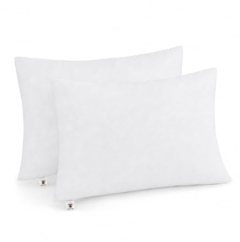 Makimoo Kuddinlägg 50 x 70 cm, kuddinsatser ihålig fiberfyllning för soffa, sängkläderkuddar (2-pack)