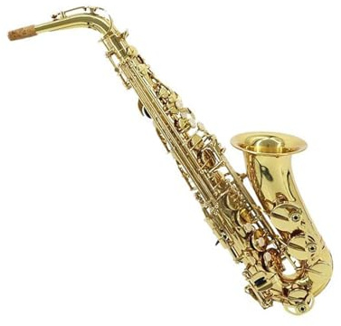 Saxophone für Anfänger Es Altsaxophon ist ein Anfängerinstrument das für übende Profis geeignet ist