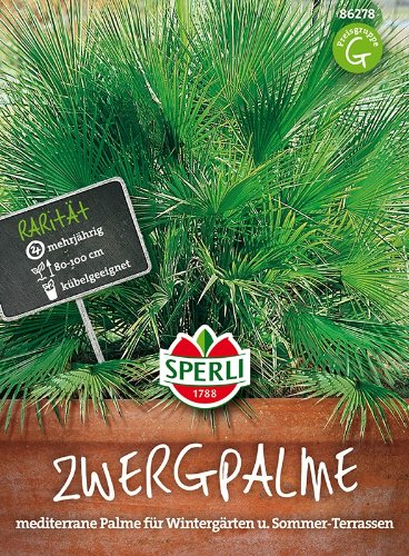 Sperli-Samen Zwergpalme