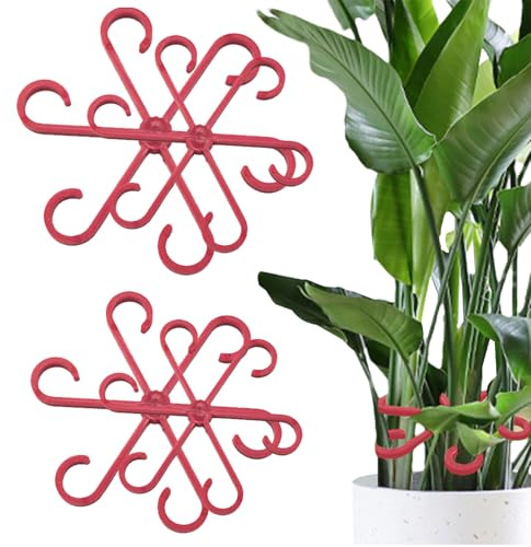 Supporto Della Pianta Monstera 4 Pezzi Supporto per Monstera da Giardino