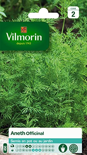 Vilmorin 5871046 Pack de Graines Aneth Officinal