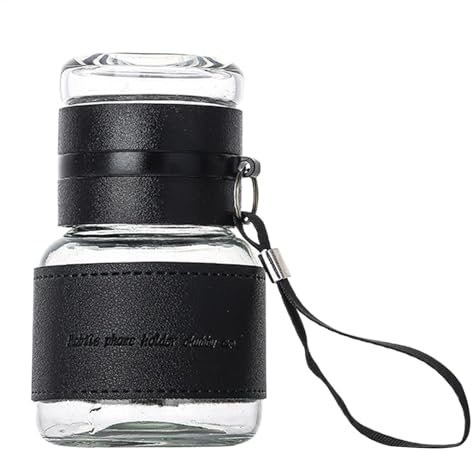 Tee-Flasche – lose Teeflasche, Teebecher mit Teesieb, isolierte Teeflasche, doppellagiges Tee-Ei aus Glas, tragbarer Teebecher mit Edelstahl
