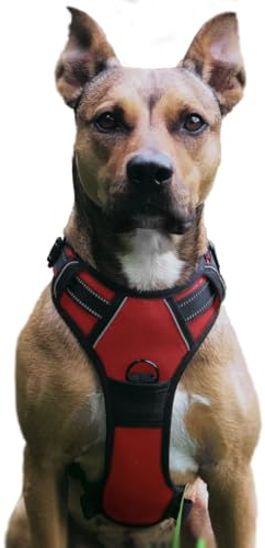 No Pull Hundegeschirr, Verstellbar Atmungsaktiv Reflektierend Weich Gepolstert Hunde Geschirr, Brustgeschirr für Hunde (Rot, XL)