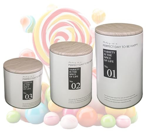 Salyeeluly Boîte en métal avec couvercle,Bocaux de conservation en métal avec couvercles | Pot à biscuits de récipient de boîte de cuisine de 3 pièces,Bidons alimentaires en métal respectueux de