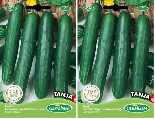 Germisem Tanja Semi di Cetriolo 0.3 g (Confezione da 2)