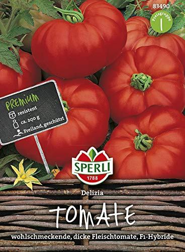 Tomate Delizia F1 Hybride