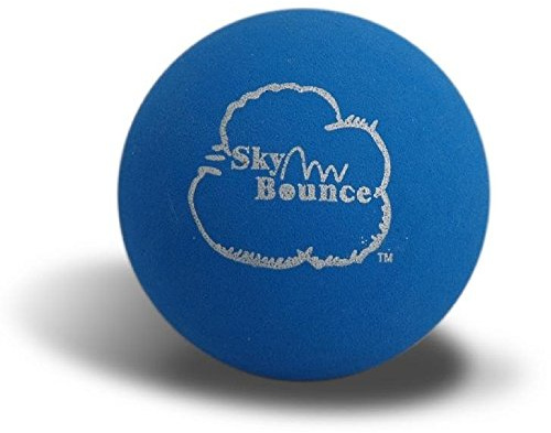Sky Bounce One Wall Handball - Blue -