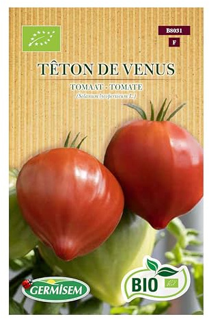 Tomate Têton de Venus
