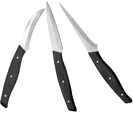 ibasenice Set di Coltelli per Intaglio Frutta e Verdura in Acciaio Inox Ergonomici da 3 Pezzi per Uso Gastronomico Professionale