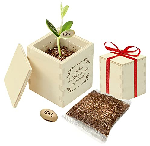 Casa Vivente Zauberbohne mit Gravierter Holzbox, Du Bist das Beste, Pflanze mit Botschaft Love, Inklusive Anzuchtset, Liebesgeschenk