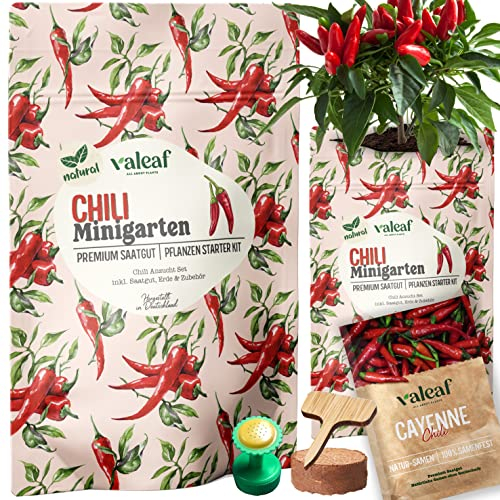 valeaf Chili Starter Set - Chili Anzuchtset mit Cayenne Chili Samen ideal als Geschenk für Hobbygärtner
