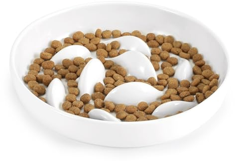 IDOGCHEW Ceramic Cat Bowl Slow Feeder Anti-Gulping Anti Vomiting, Cat Puzzle Feeder for Wet Food Dry Food Slow Down Pet Eating Healthy Diet Feeding Spill Proof Pet Bowls Non-Slip Bottom for Cat Kitty