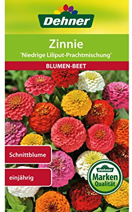 Dehner Blumen-Saatgut, Zinnie Niedrige Liliput Prachtmischung, 5er pack (5 x 2 g), 15 x 11 x 0.5 cm
