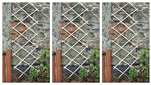 Garden Mile Set Of 3 Outdoor Garden Trellis 6ft X 2ft Durable Expanding Trellis For Climbing Plants Pine Trellises For Plants And Vegetables Outdoor Lattice Panel Climbing Plant Support