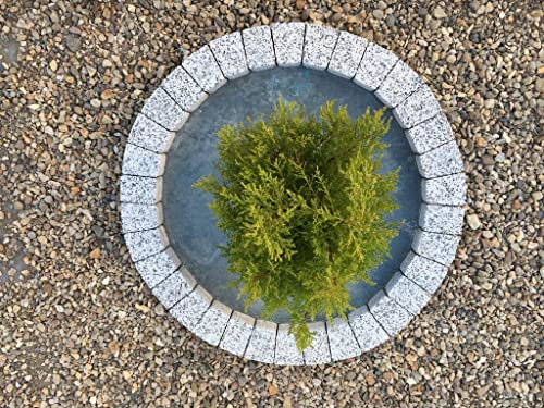 100 cm Garden Circle – 80 cm Inner Diameter – Round Concrete Border – Decorative Tree Ring – White – Natural Crushed Granite