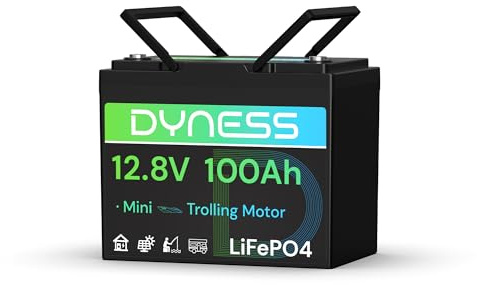 Dyness Batteria LiFePO4 12V 100Ah, Mini Batteria al Litio con BMS 100A, Protezione a Basse Temperature, per Nautica, Camper, Impianti Solari off-grid, Fotovoltaico Accumulo
