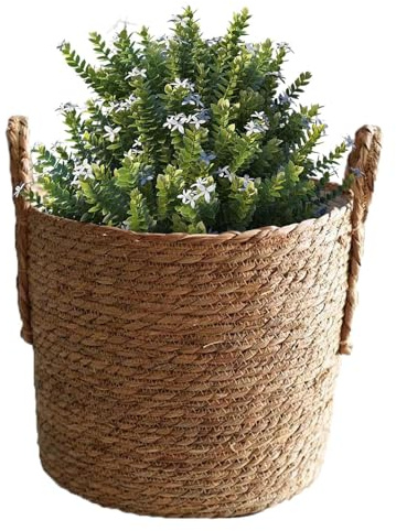 tissé - Conteneur de en jonc de mer tissé Moderne pour Le Stockage - Pot de Fleurs décoratif étanche pour Feuille de Violon, figuier, Serpent, Fleurs