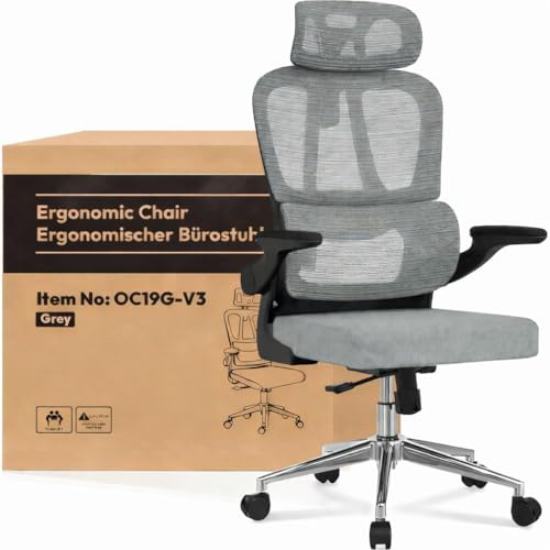 FLEXISPOT Ergonomischer Bürostuhl, Schreibtischstuhl mit 2D-Kopfstütze, Klappbare Armlehnen & Dynamische Lendenstütze, Stuhl mit 120° Wippfunktion für Homeoffice, Arbeitszimmer, Büro (Grau)