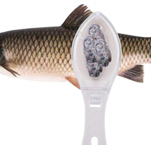 KIMISS Skrapborste för Snabb Borttagning Av Fiskskinn - Plastskrapa för Enkel Rengöring Av Fisk - Separatorkniv för Fiskskinn (Vit)