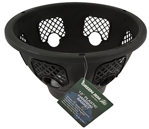 Green Jem 12-Inch Plastic Hanging Basket - Black