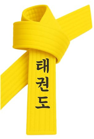 TEKKA BUDO Taekwondo Gürtel Gelb bestickt - TKD Schriftzeichen koreanisch - Gelbgurt mit Kanji Bestickung