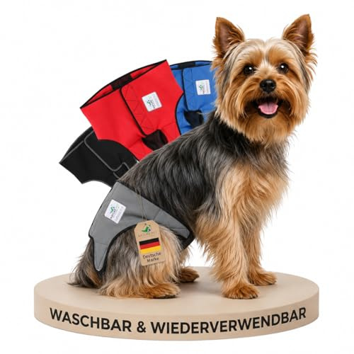NATURE PET Premium Läufigkeitshose für Hündinnen – Hochwertige & Bequeme Hundewindeln für Hündinnen & Rüden – Waschbare Inkontinenz-Hundewindel ohne Einfädeln der Rute – XS/Grau