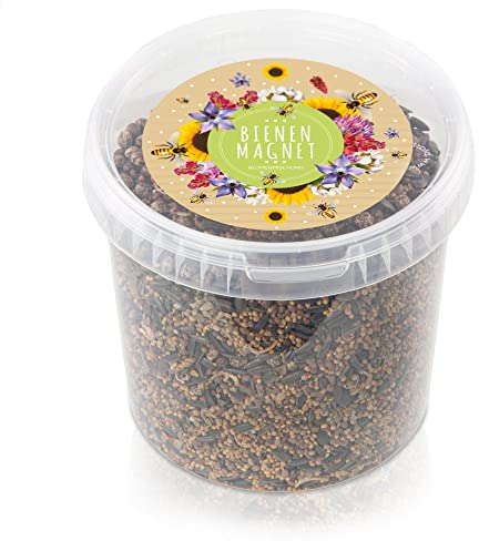 1kg Blumenwiese Samen für eine Bunte Bienenweide - Farbenfrohe & nektarreiche Wildblumensamen Mischung für Bienen & Schmetterlinge (inkl. GRATIS eBook)