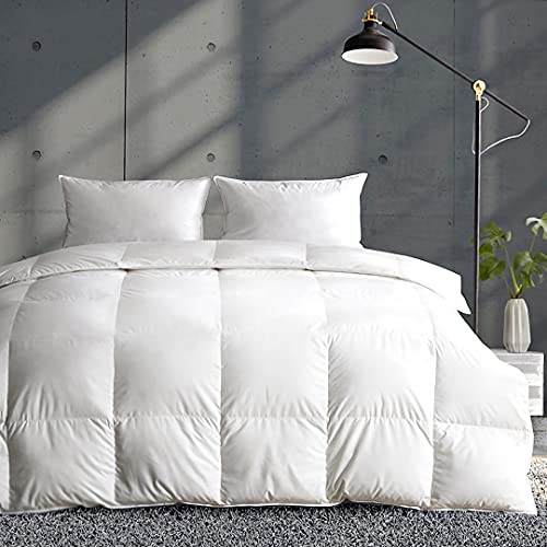 APSMILE Couette 200x200 4 Saisons en 50% Duvet et 50% Plumes, 100% Coton Bio Couette 2 Personnes Ultra Gonflante, Édredon Duvet 200x200 Tempérée Hypoallergénique, Certifié Oeko-Tex et RDS