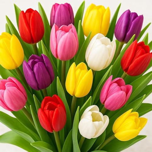 Mixed Color Tulip Bulbs for Planting (50 Bulbs)